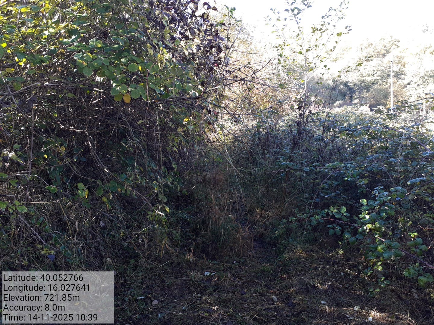 Galleria Fotografica Immagine