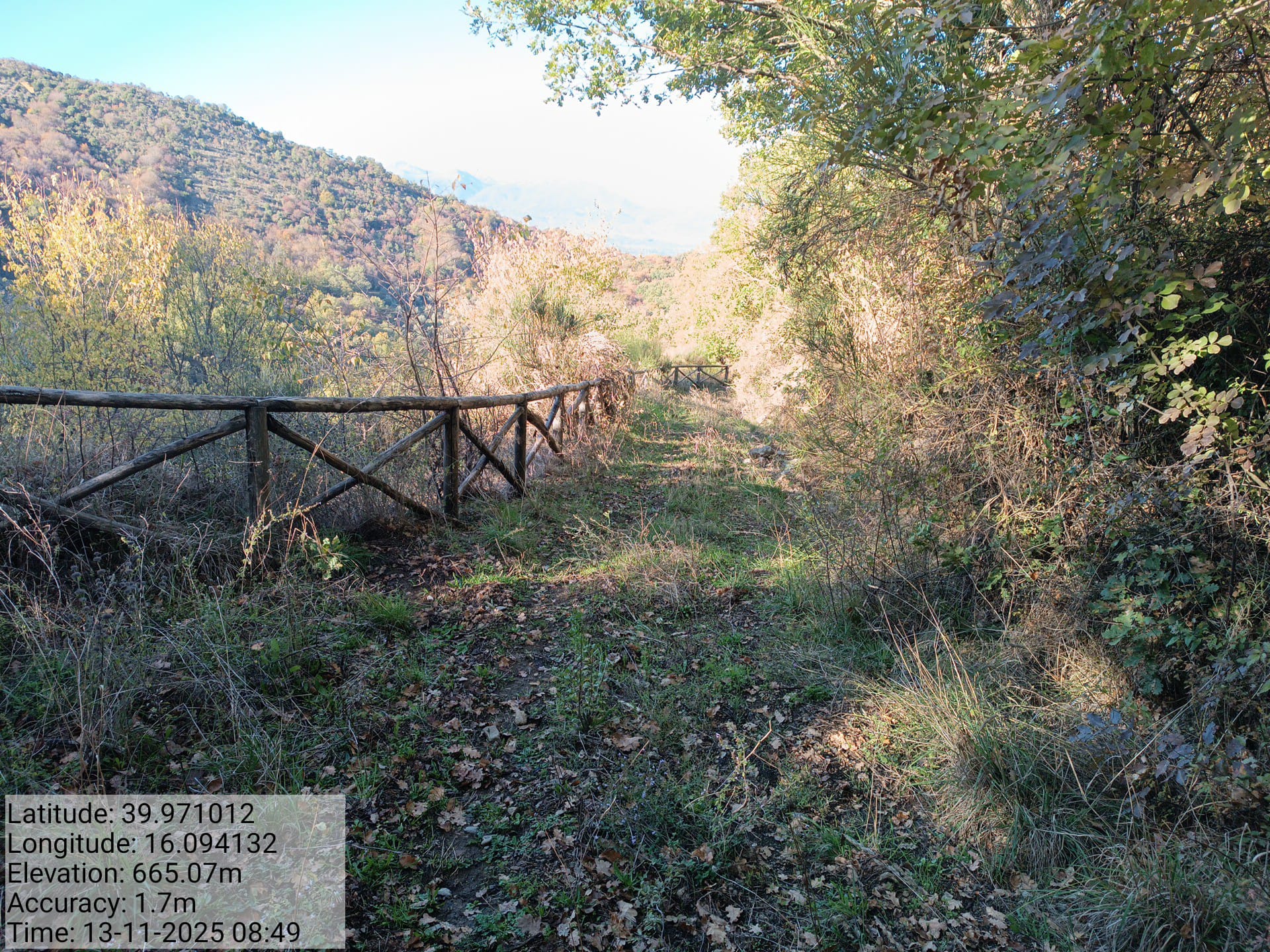 Galleria Fotografica Immagine