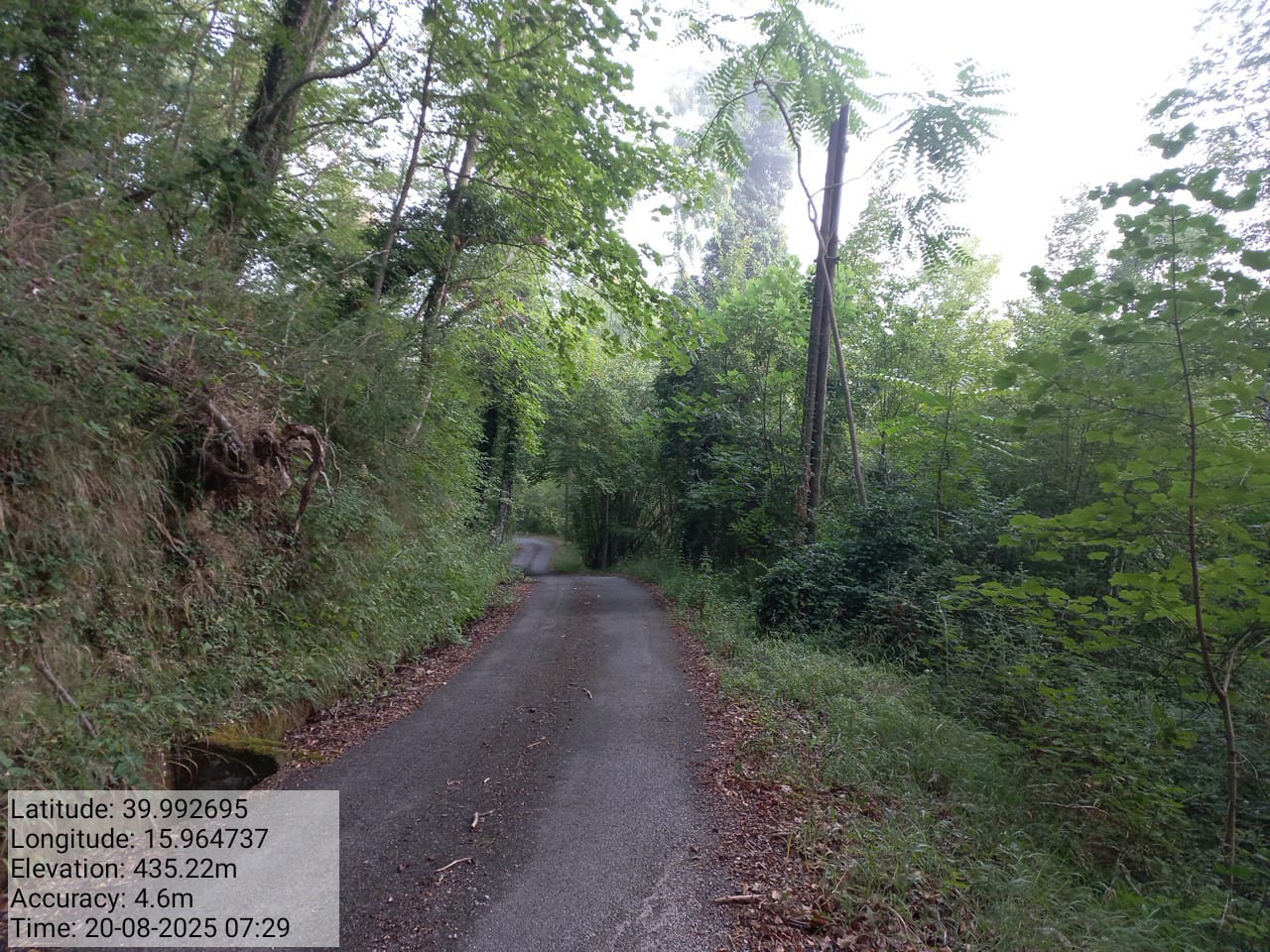 Galleria Fotografica Immagine