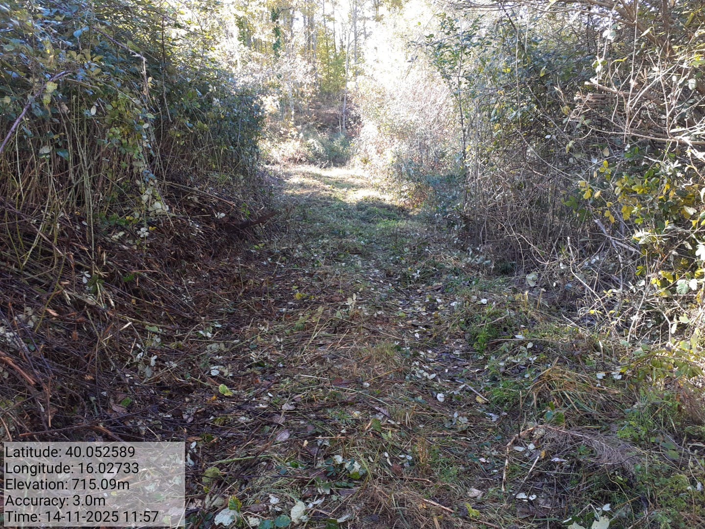 Galleria Fotografica Immagine