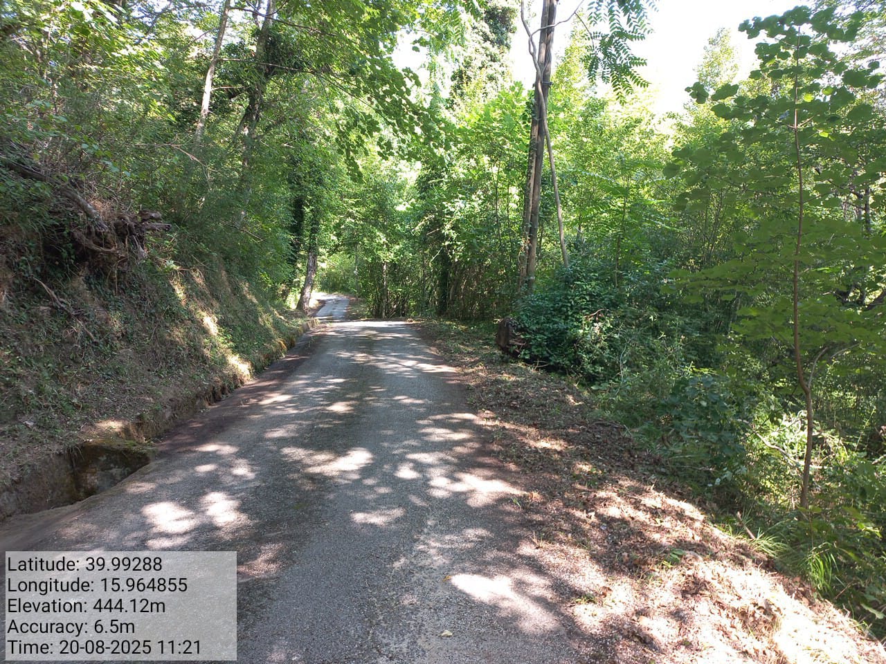 Galleria Fotografica Immagine