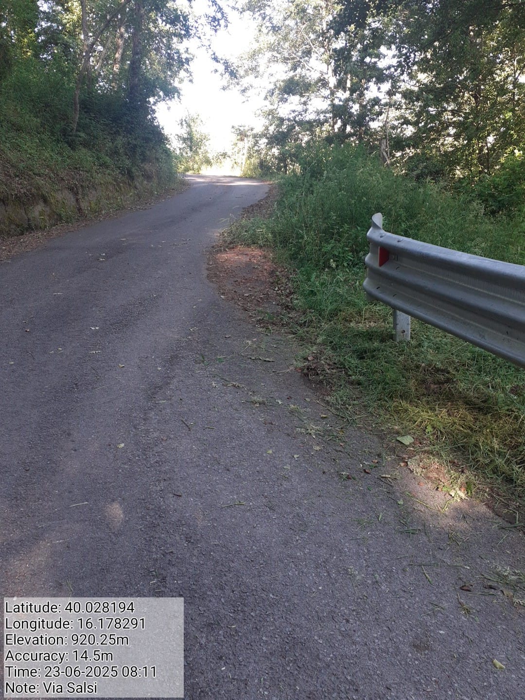 Galleria Fotografica Immagine