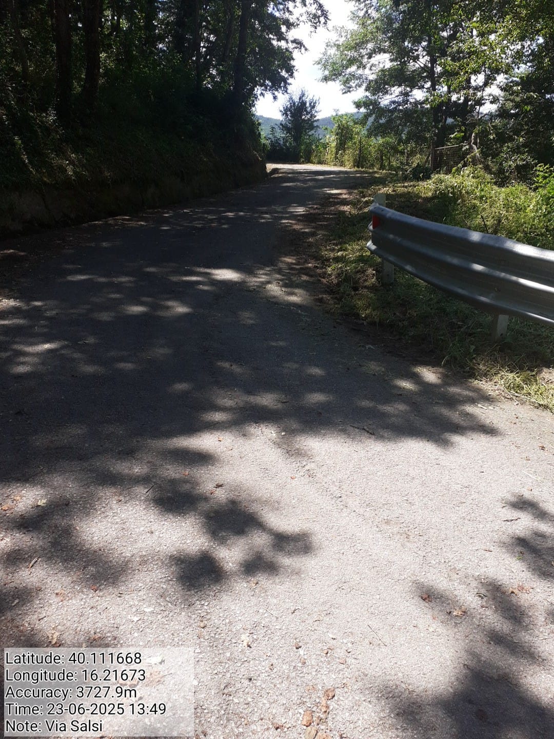 Galleria Fotografica Immagine