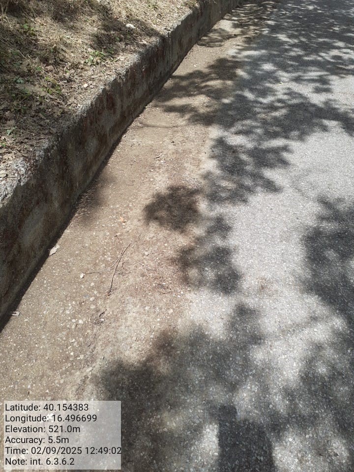 Galleria Fotografica Immagine