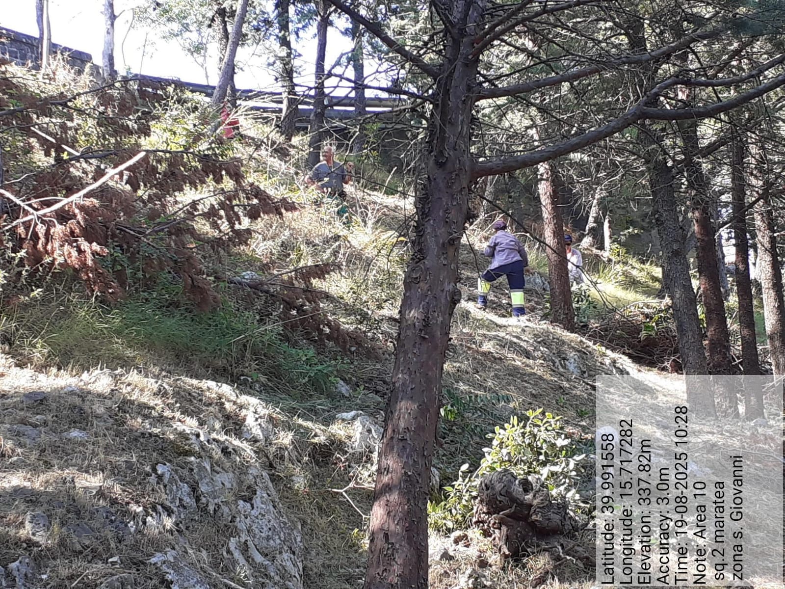 Galleria Fotografica Immagine