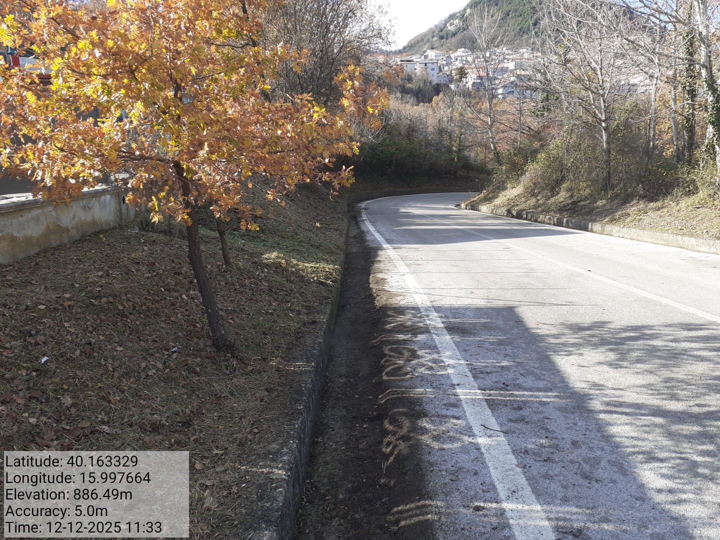 Galleria Fotografica Immagine