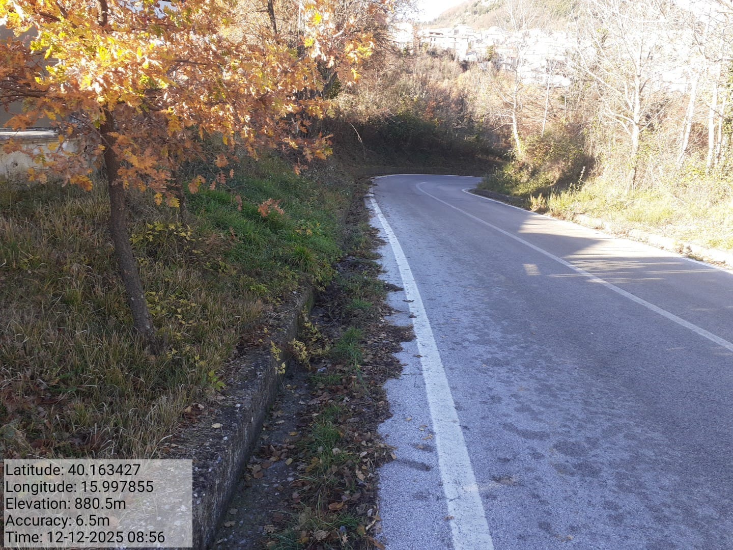 Galleria Fotografica Immagine