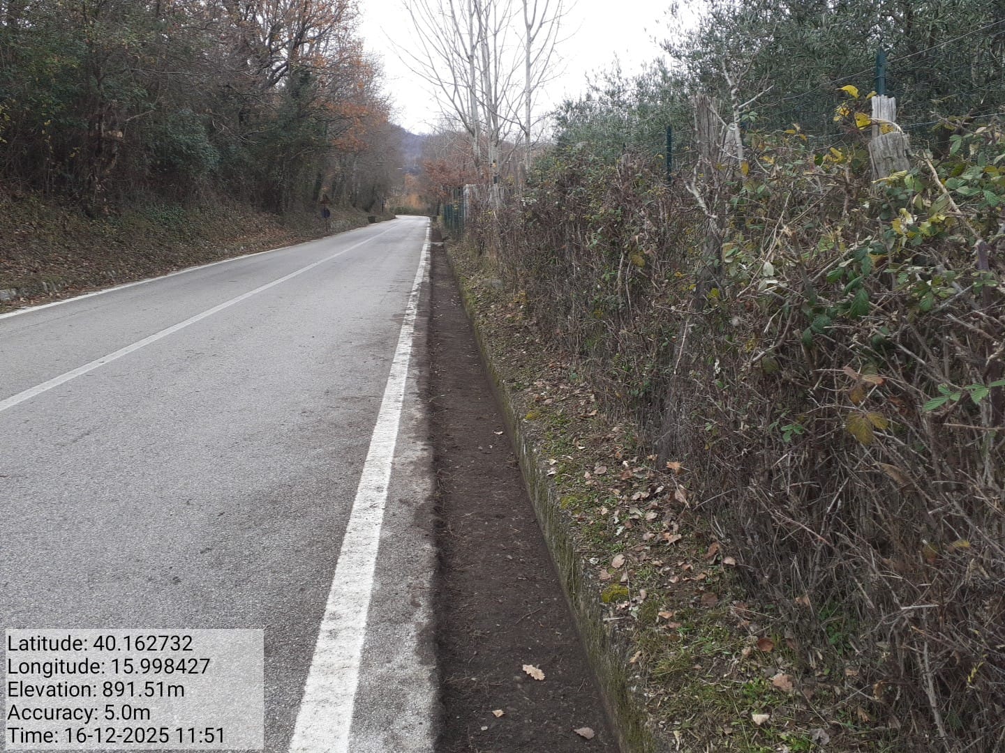 Galleria Fotografica Immagine