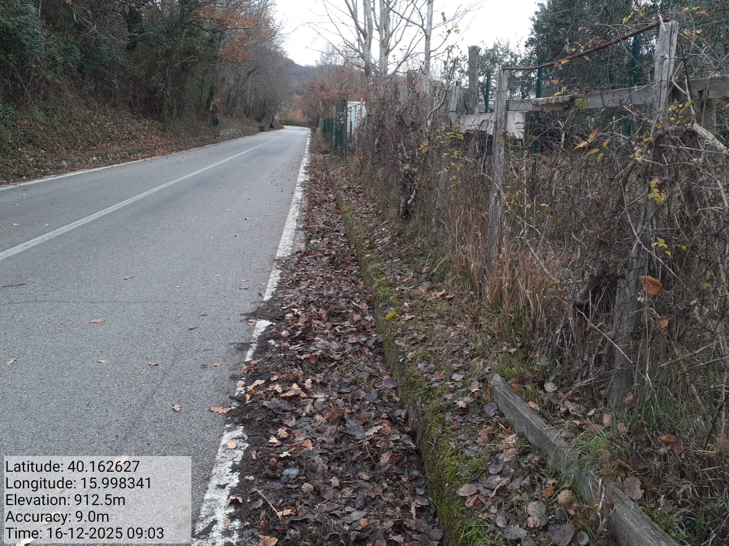 Galleria Fotografica Immagine