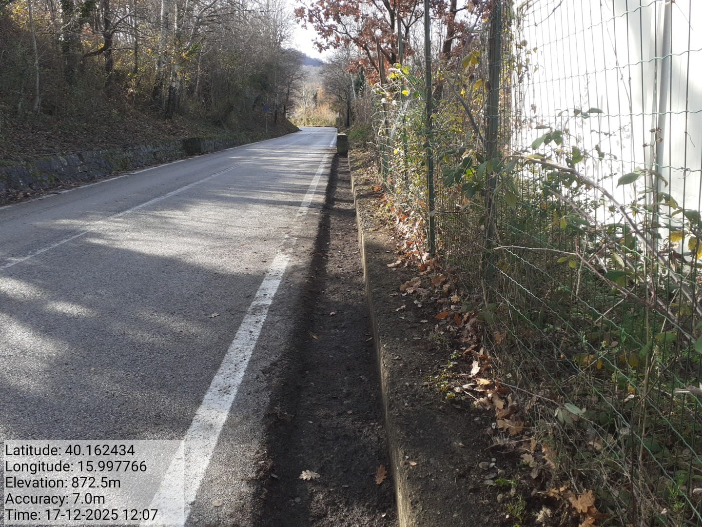 Galleria Fotografica Immagine