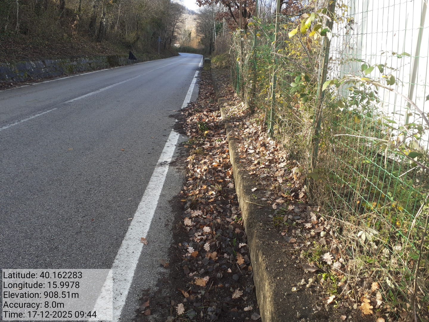 Galleria Fotografica Immagine