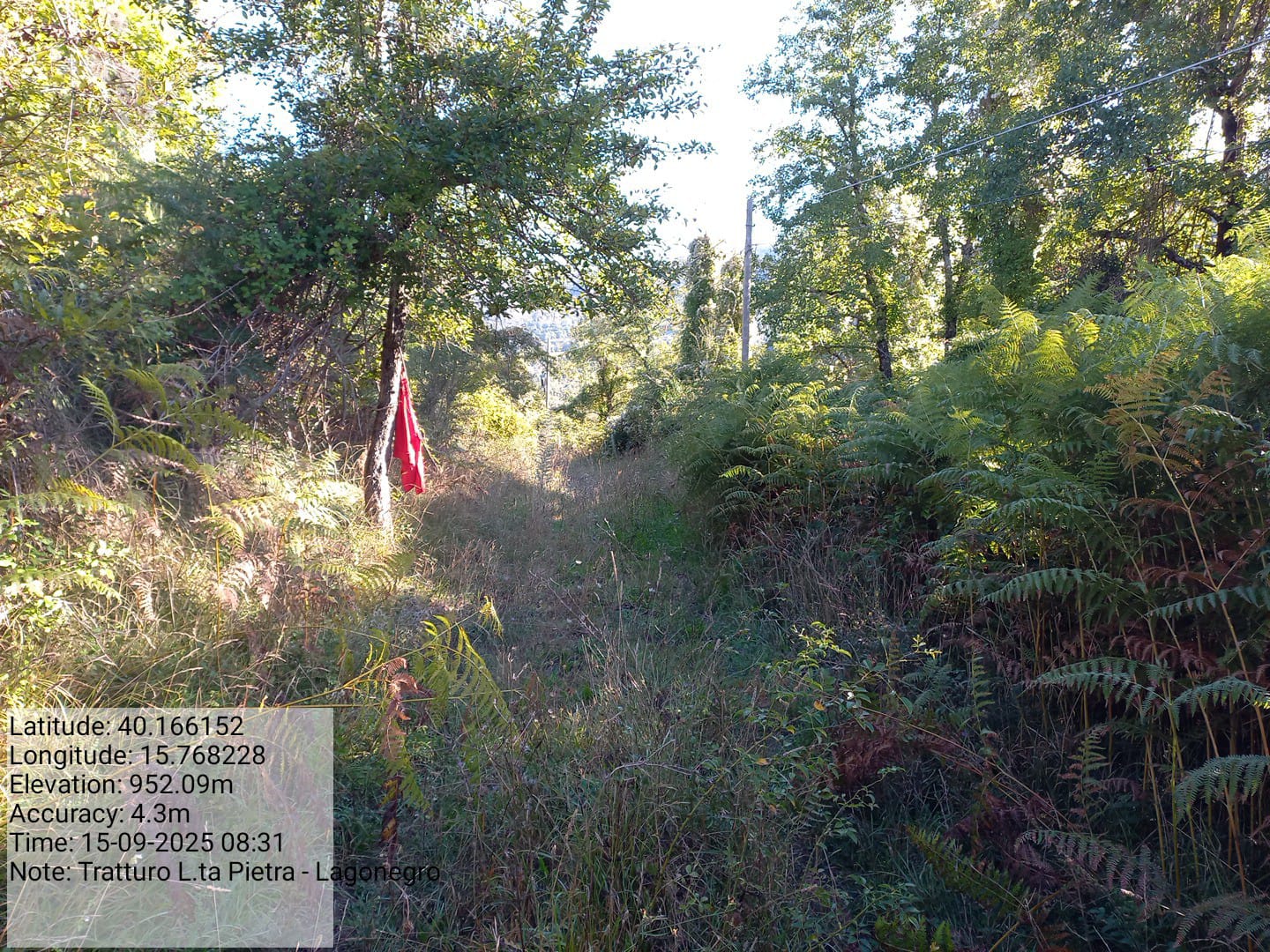 Galleria Fotografica Immagine