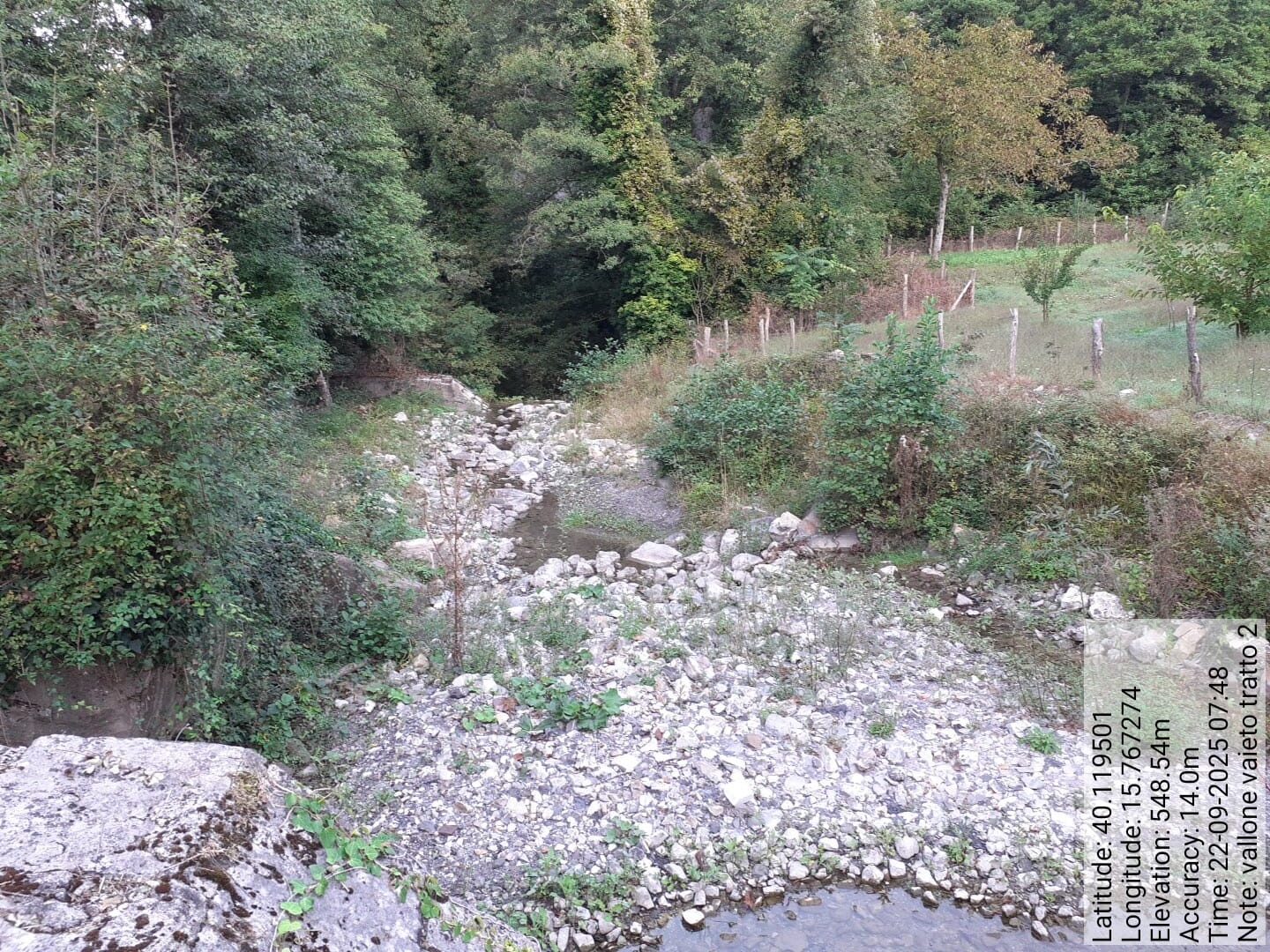 Galleria Fotografica Immagine