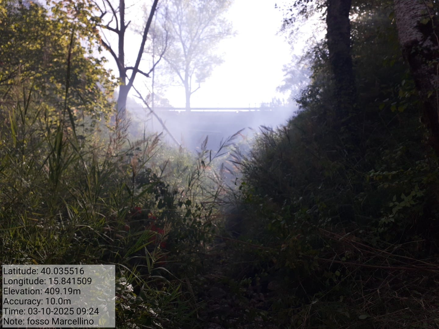 Galleria Fotografica Immagine