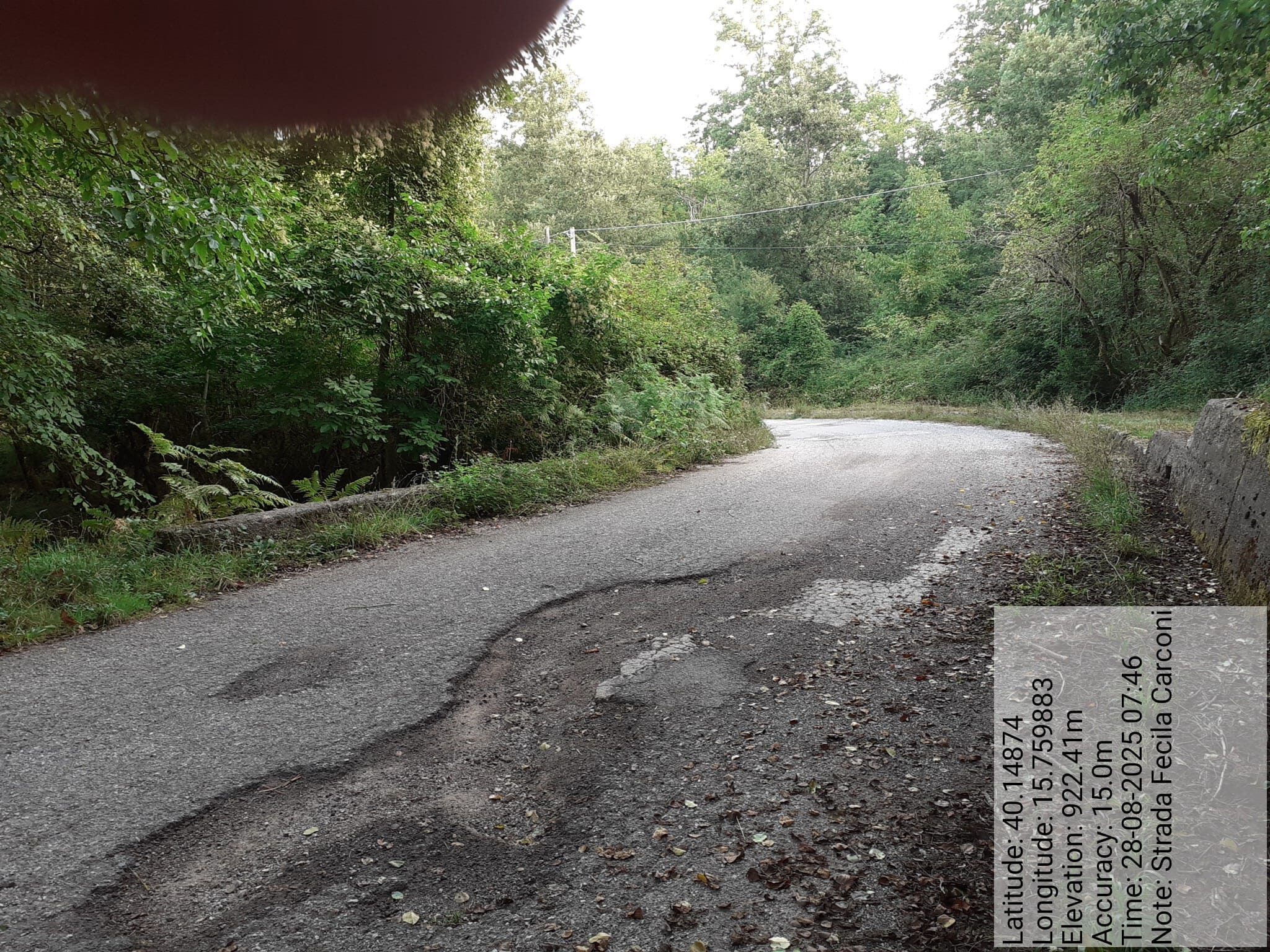 Galleria Fotografica Immagine