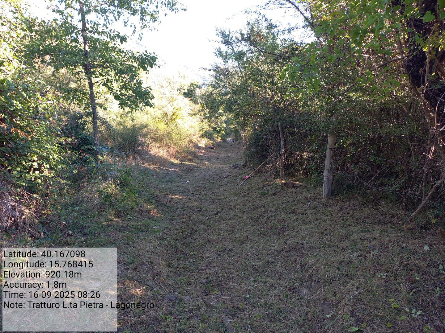 Galleria Fotografica Immagine