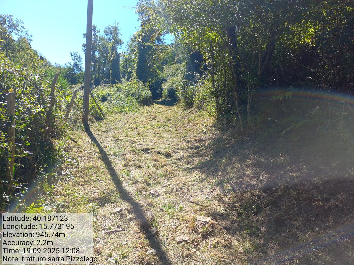 Galleria Fotografica Immagine