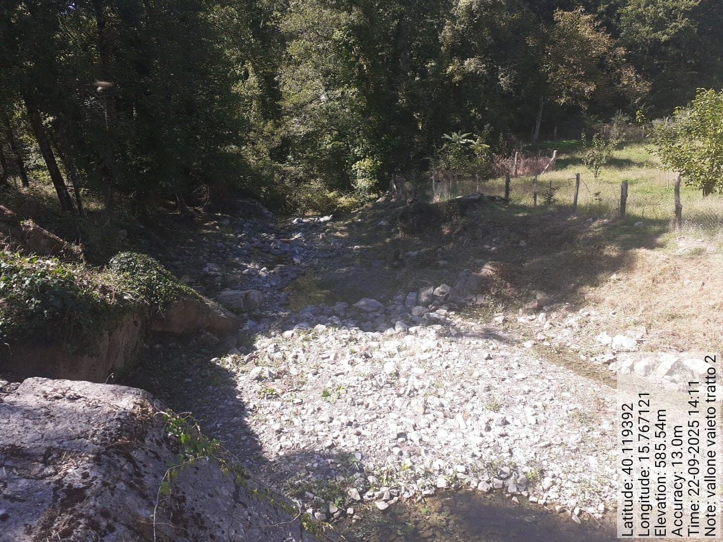 Galleria Fotografica Immagine