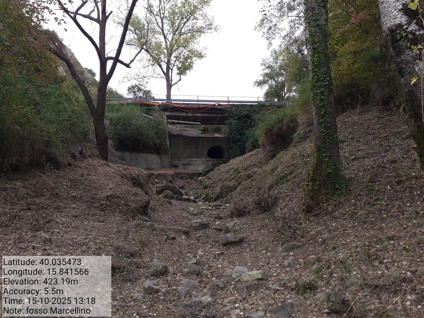 Galleria Fotografica Immagine