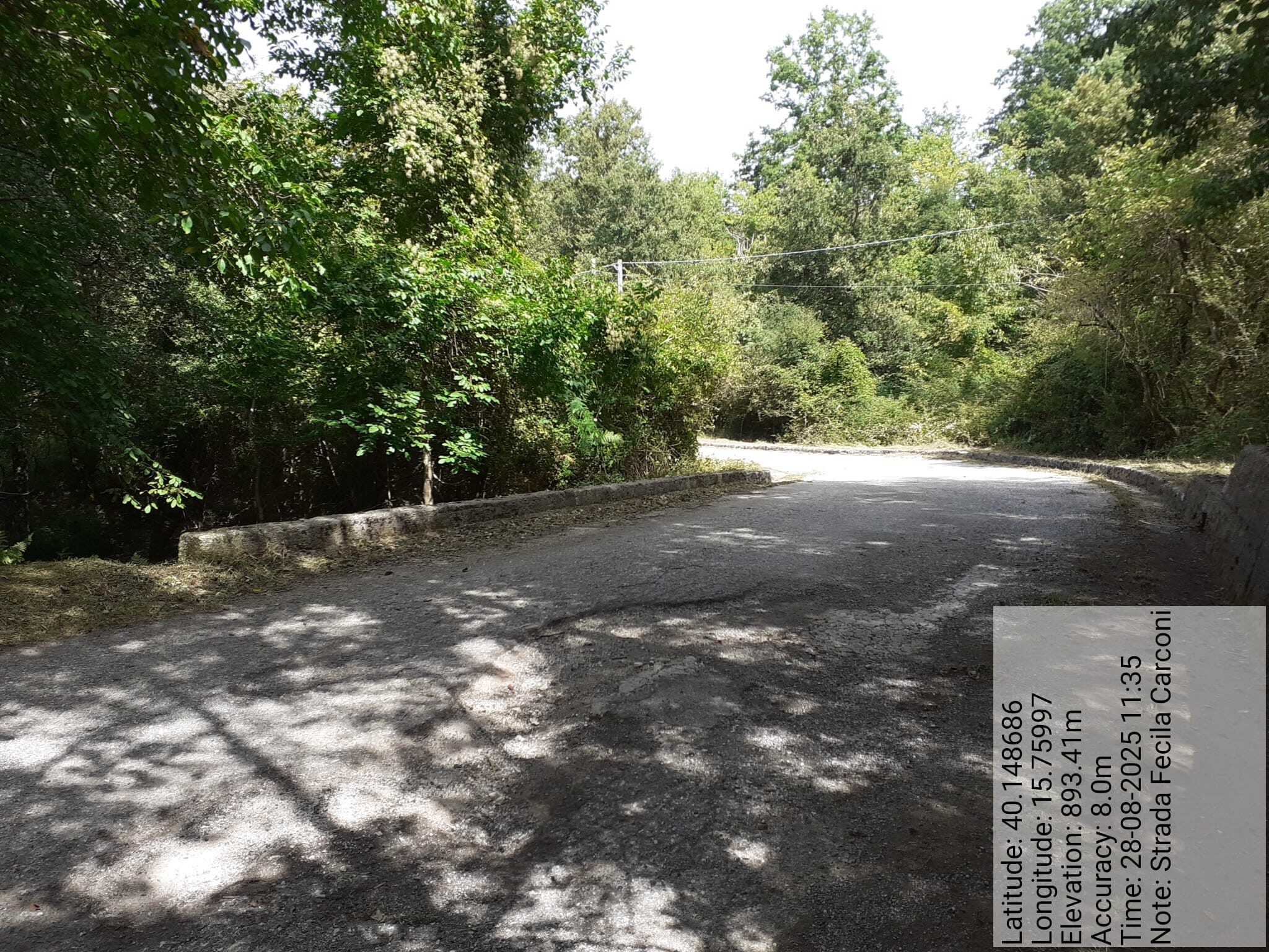 Galleria Fotografica Immagine