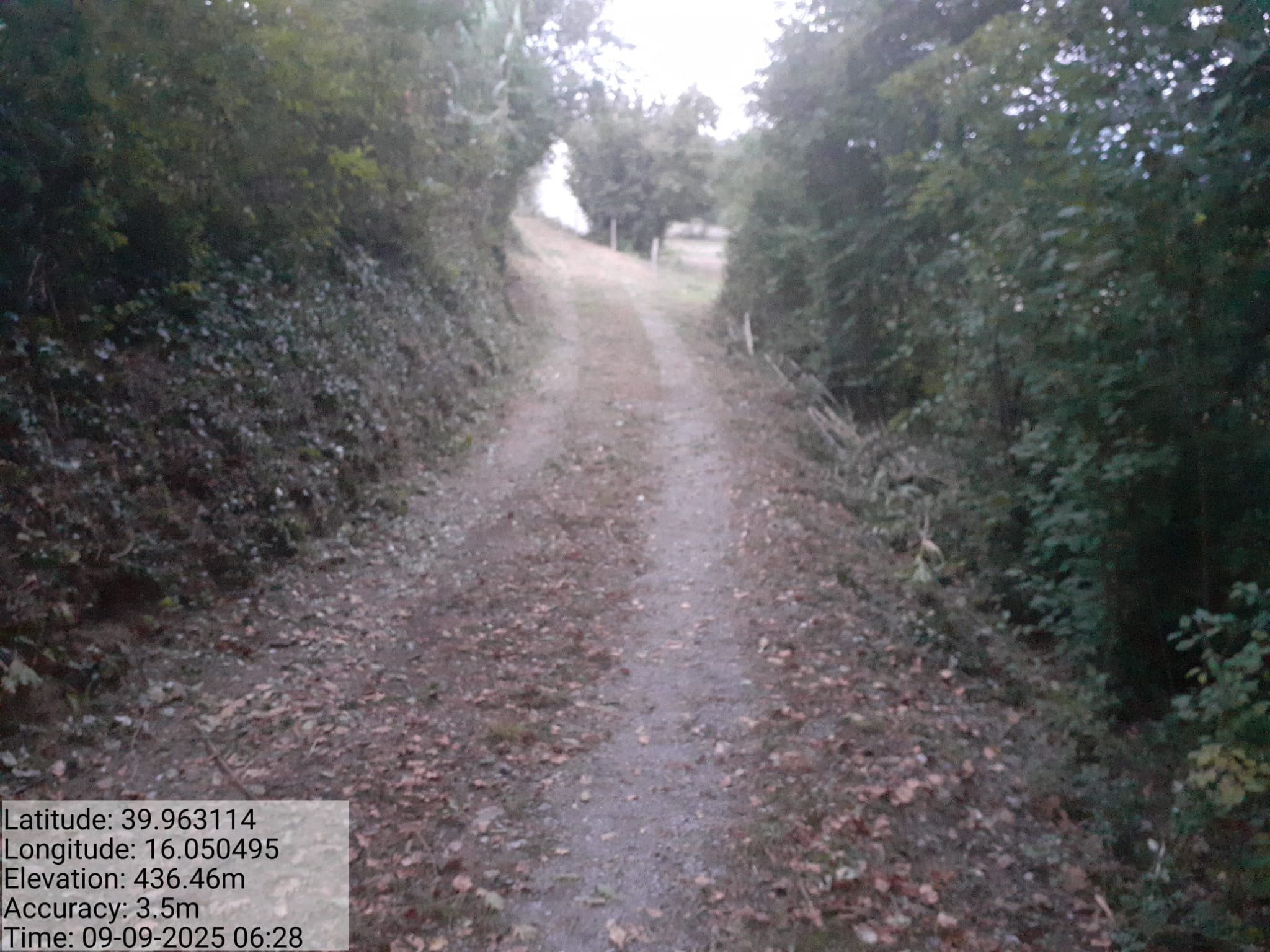 Galleria Fotografica Immagine