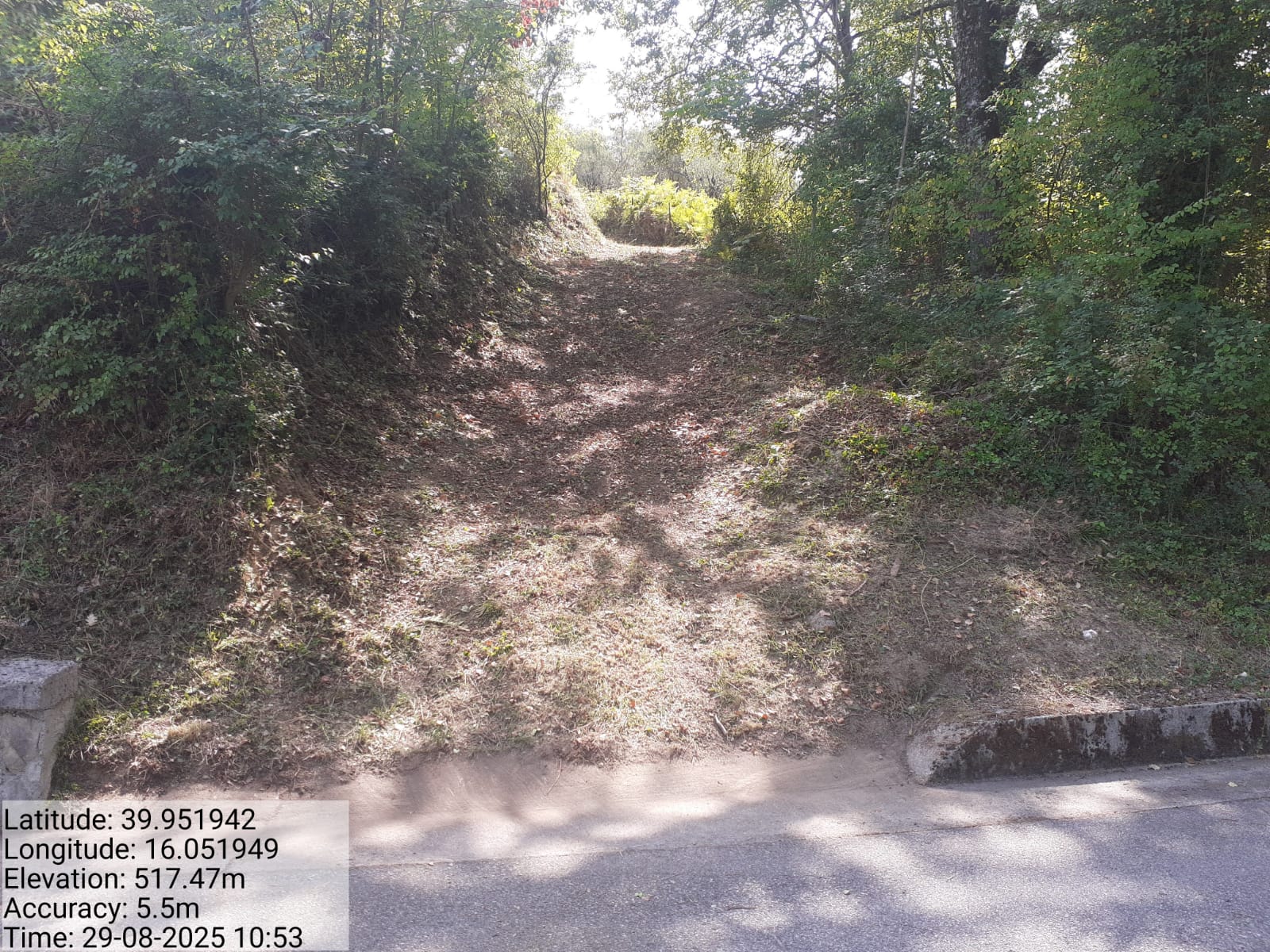 Galleria Fotografica Immagine