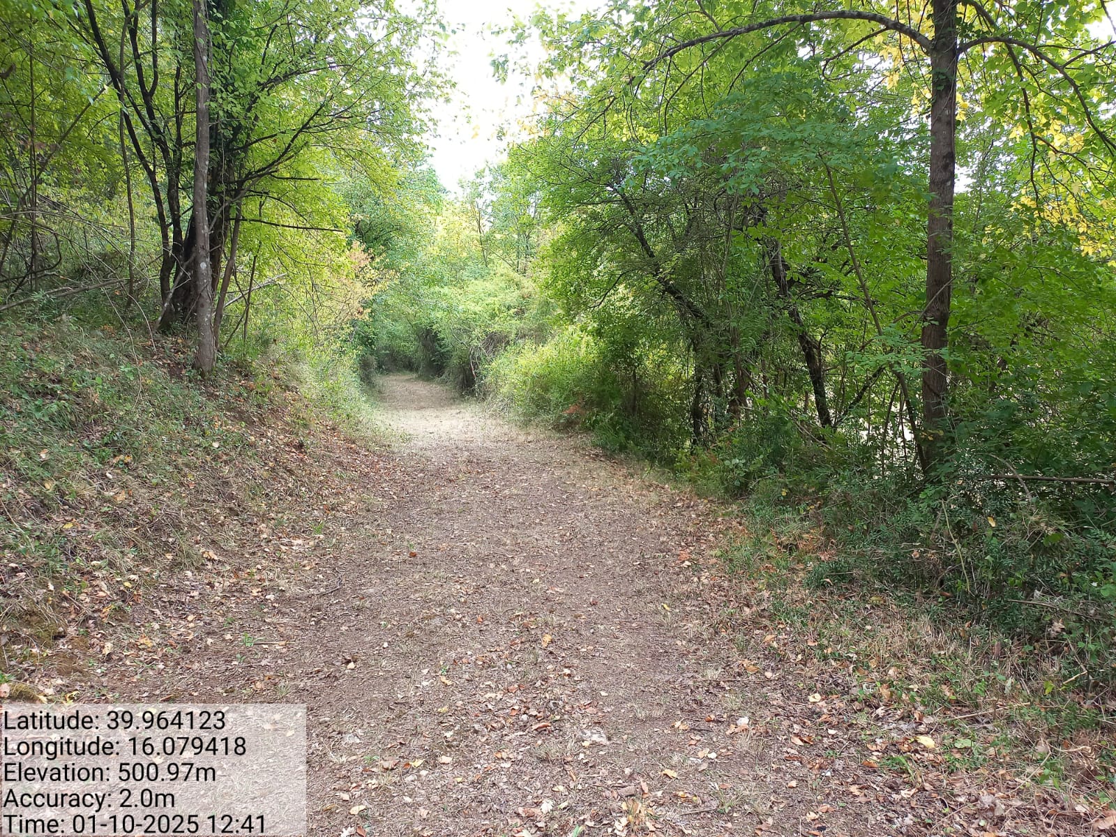 Galleria Fotografica Immagine