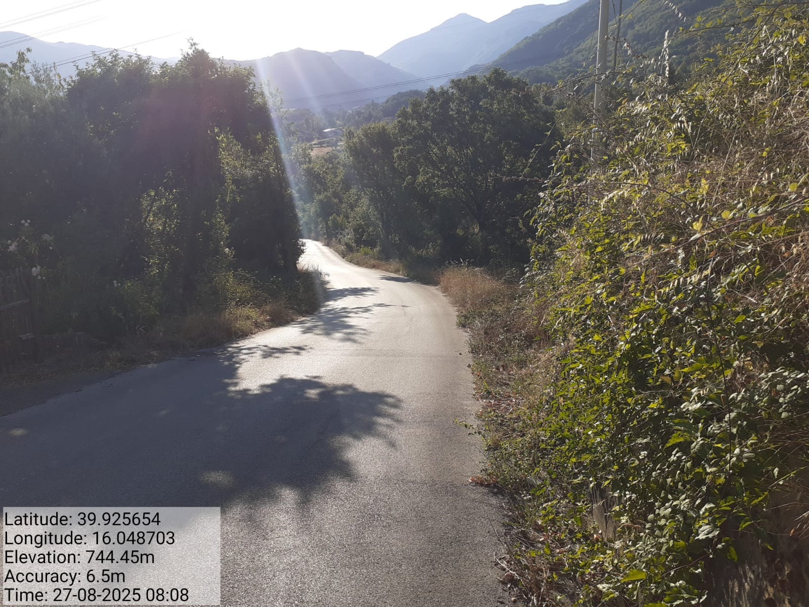 Galleria Fotografica Immagine