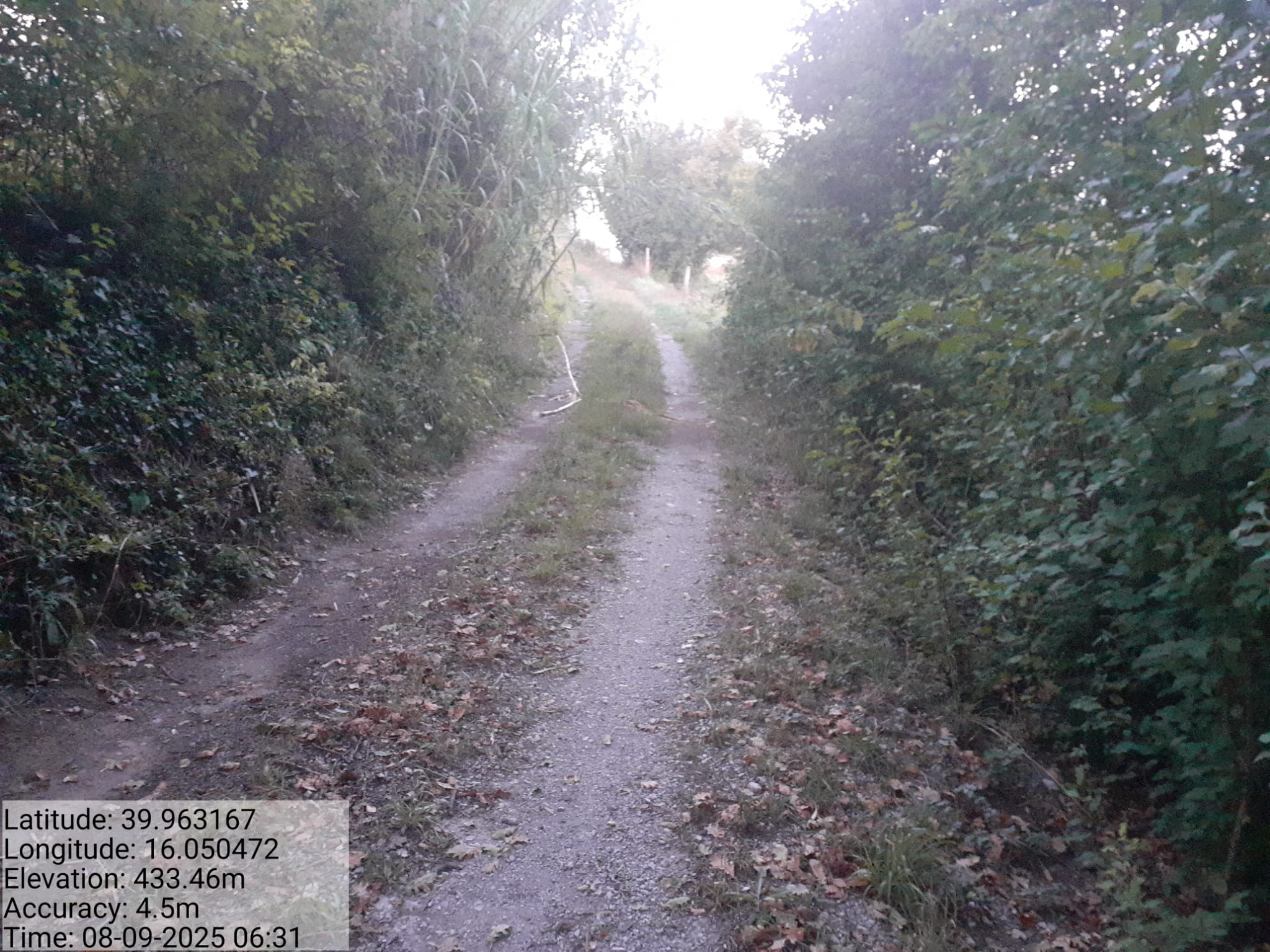 Galleria Fotografica Immagine