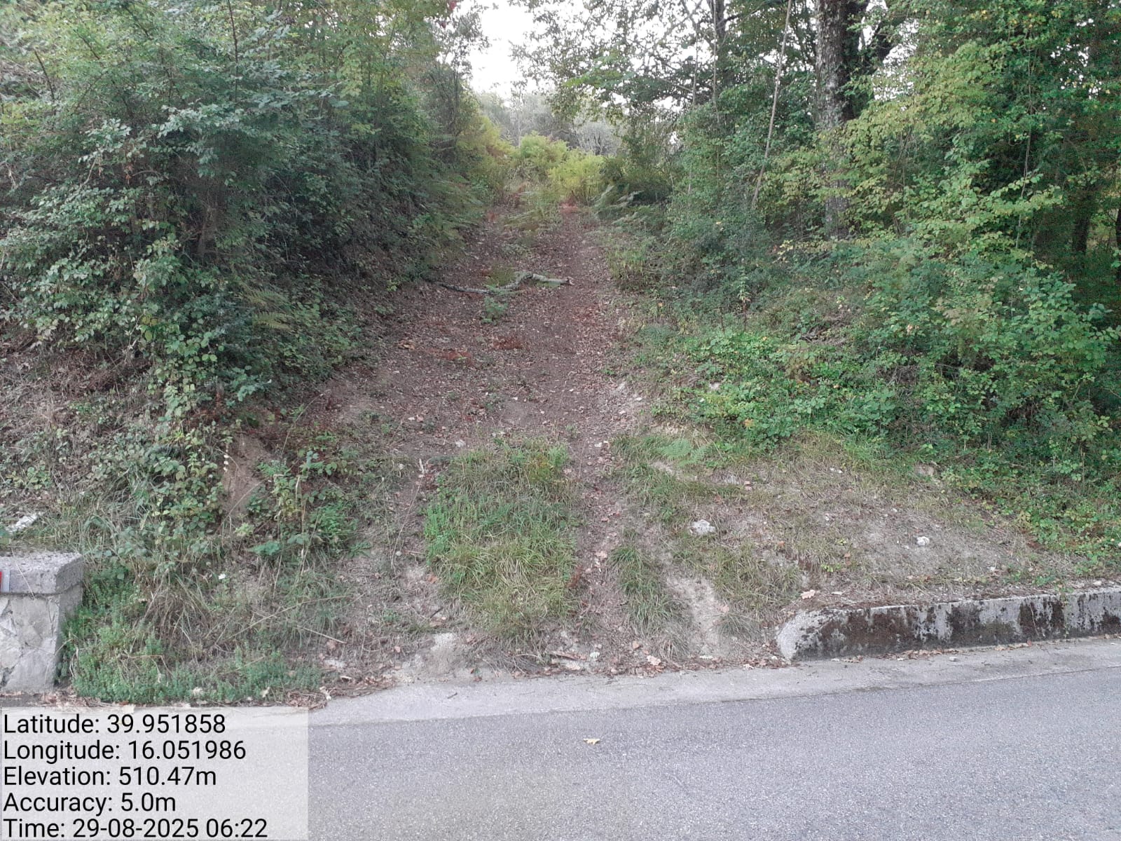 Galleria Fotografica Immagine