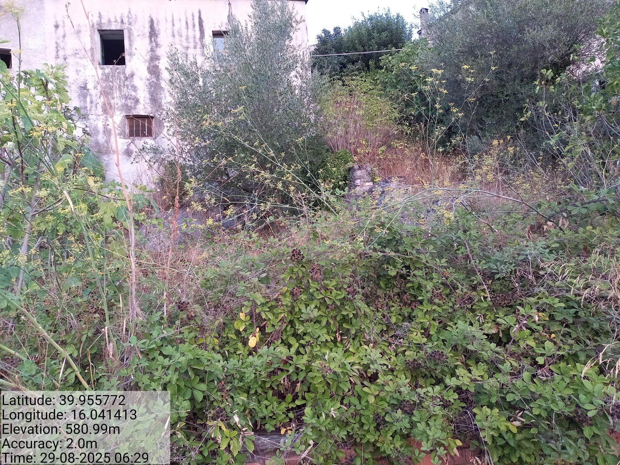 Galleria Fotografica Immagine