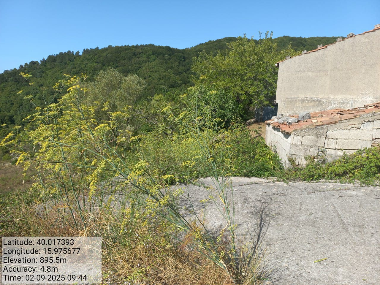 Galleria Fotografica Immagine