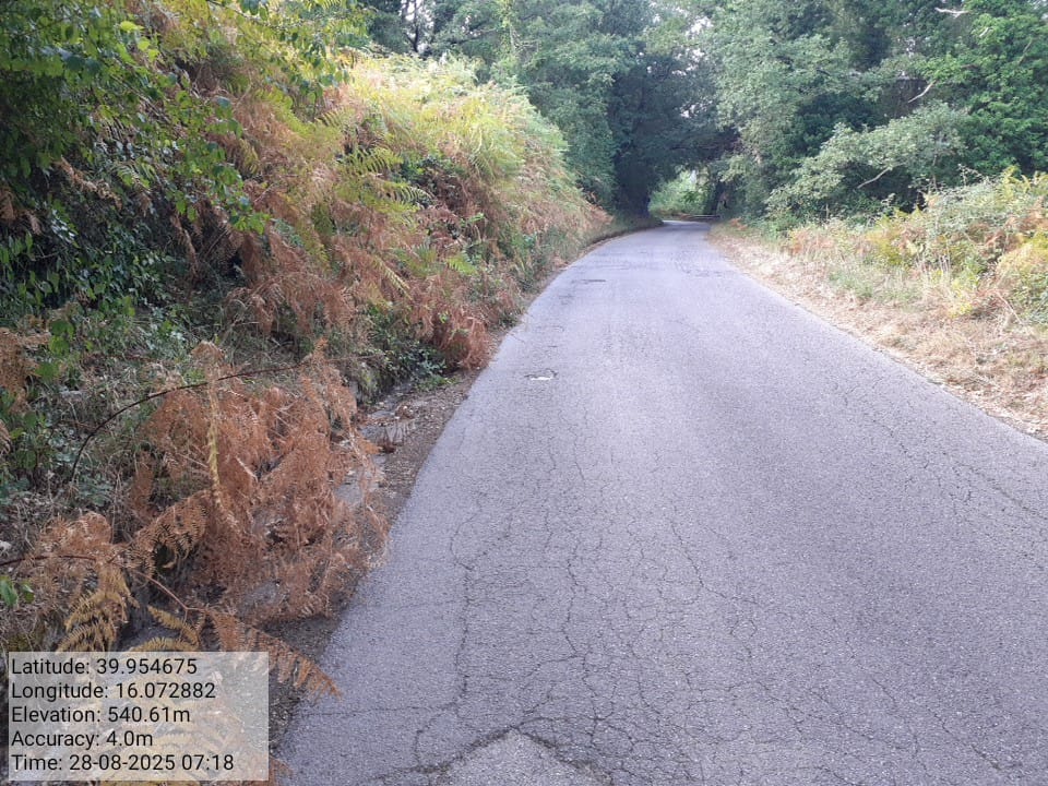 Galleria Fotografica Immagine