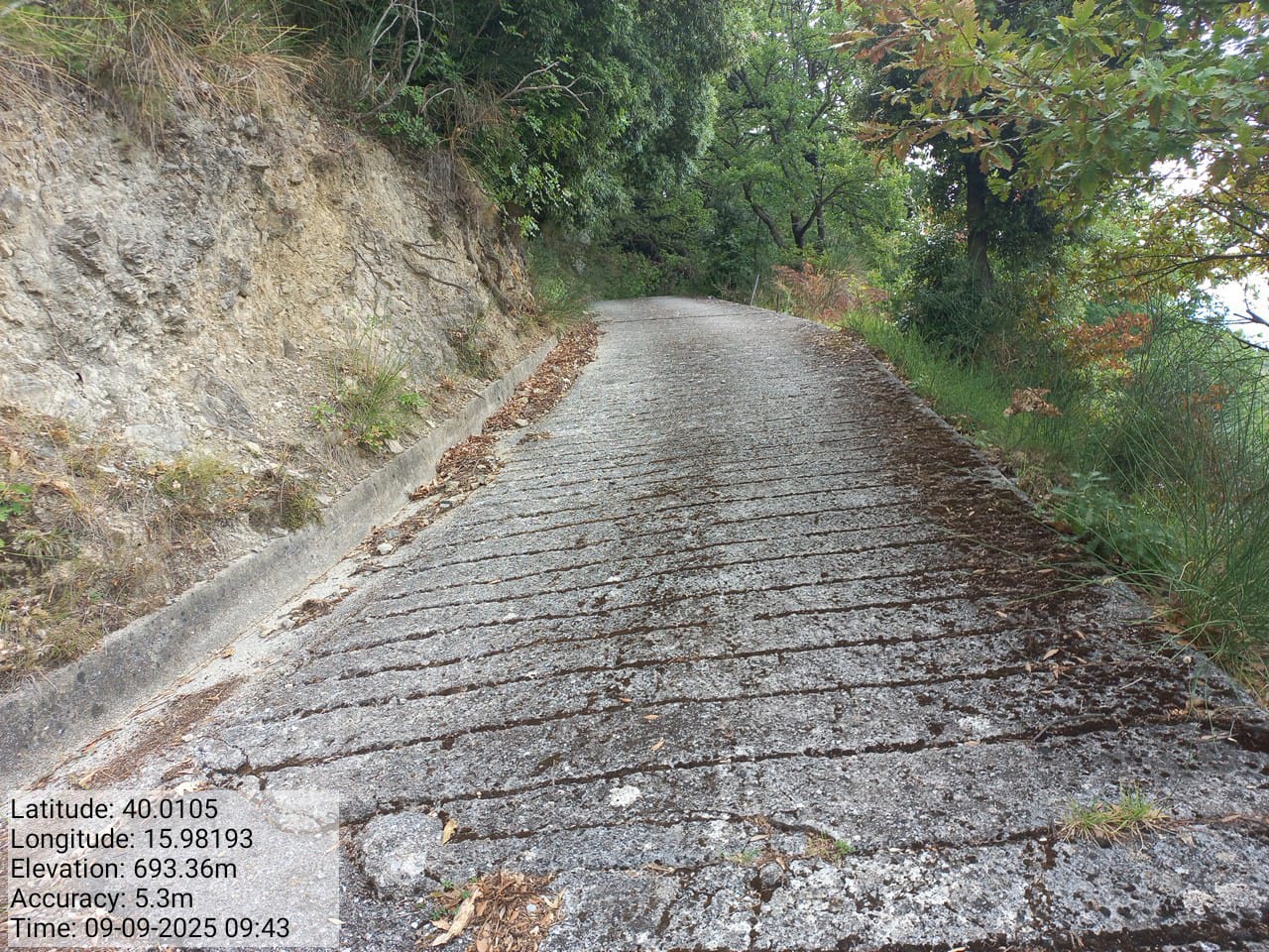 Galleria Fotografica Immagine