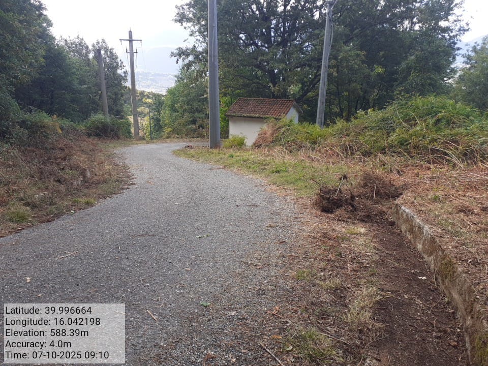 Galleria Fotografica Immagine