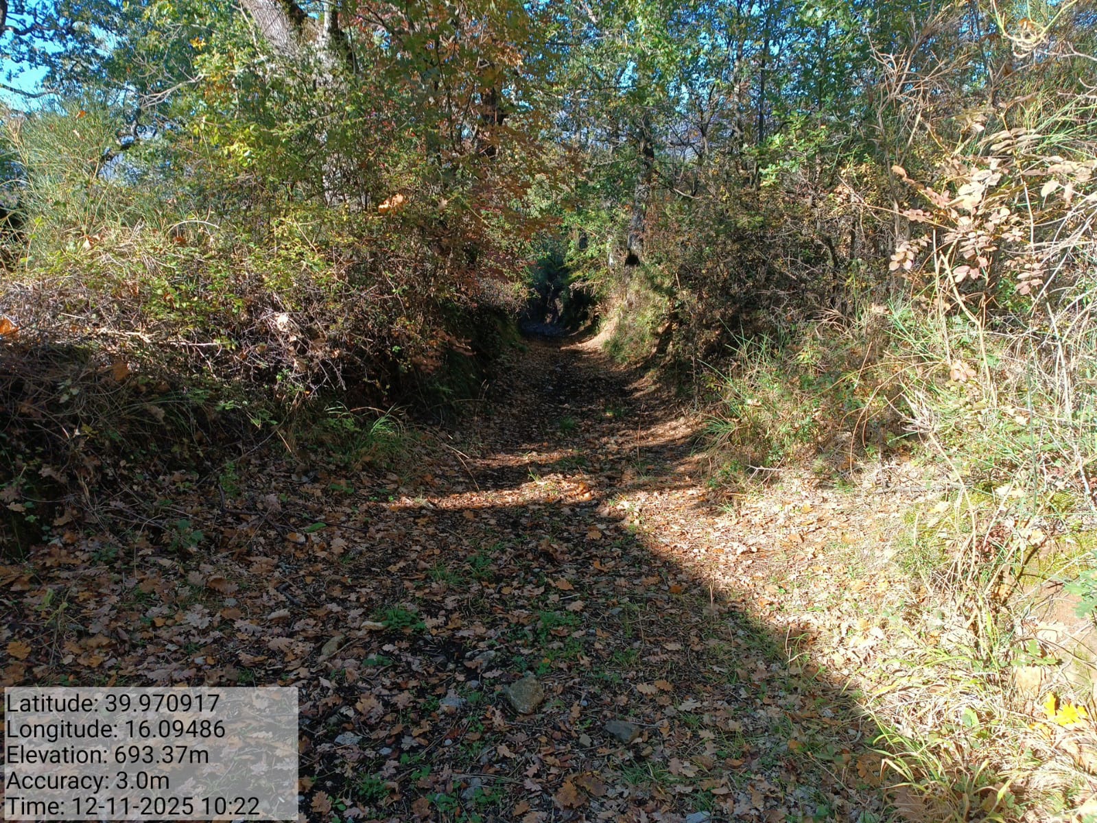 Galleria Fotografica Immagine