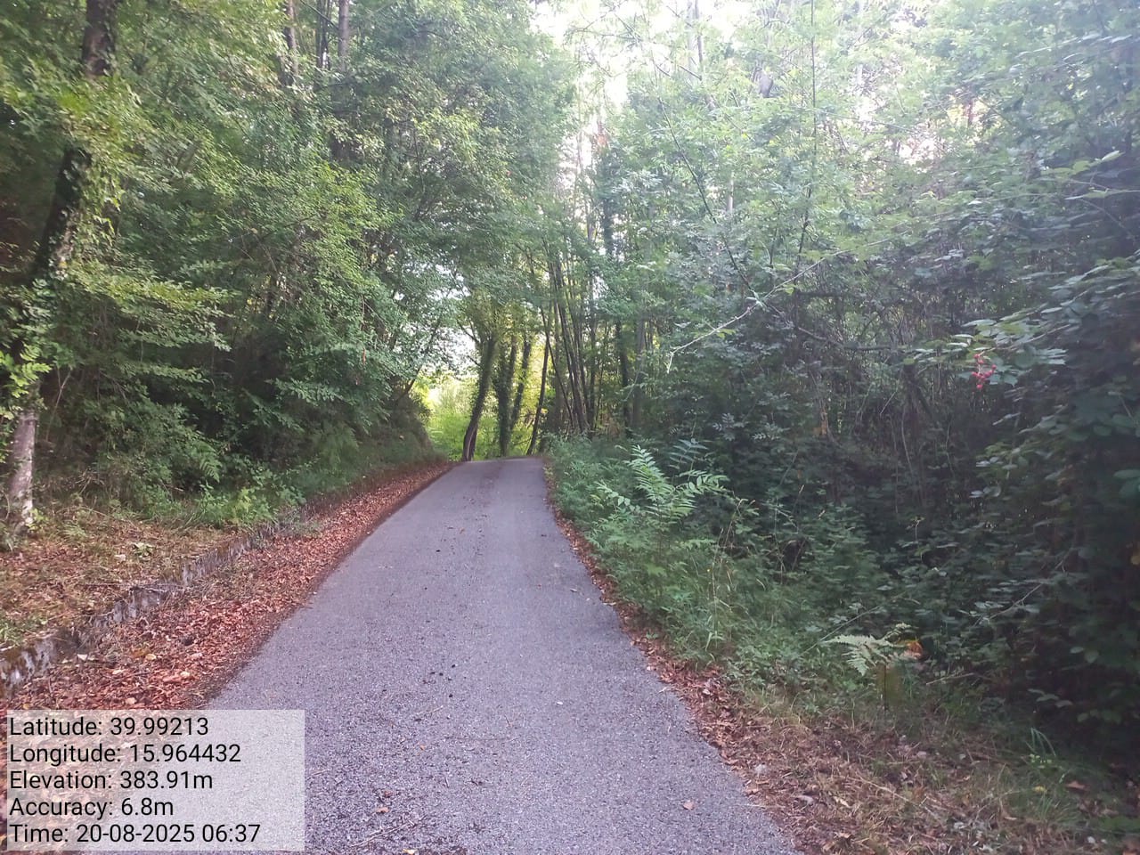 Galleria Fotografica Immagine