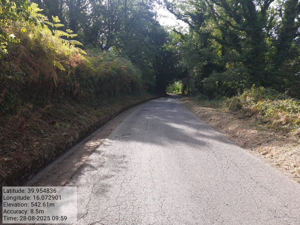 Galleria Fotografica Immagine