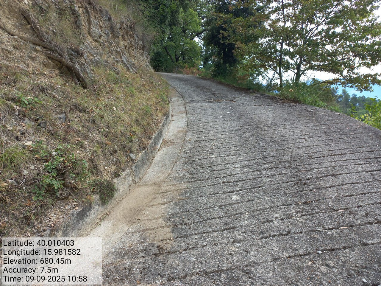 Galleria Fotografica Immagine