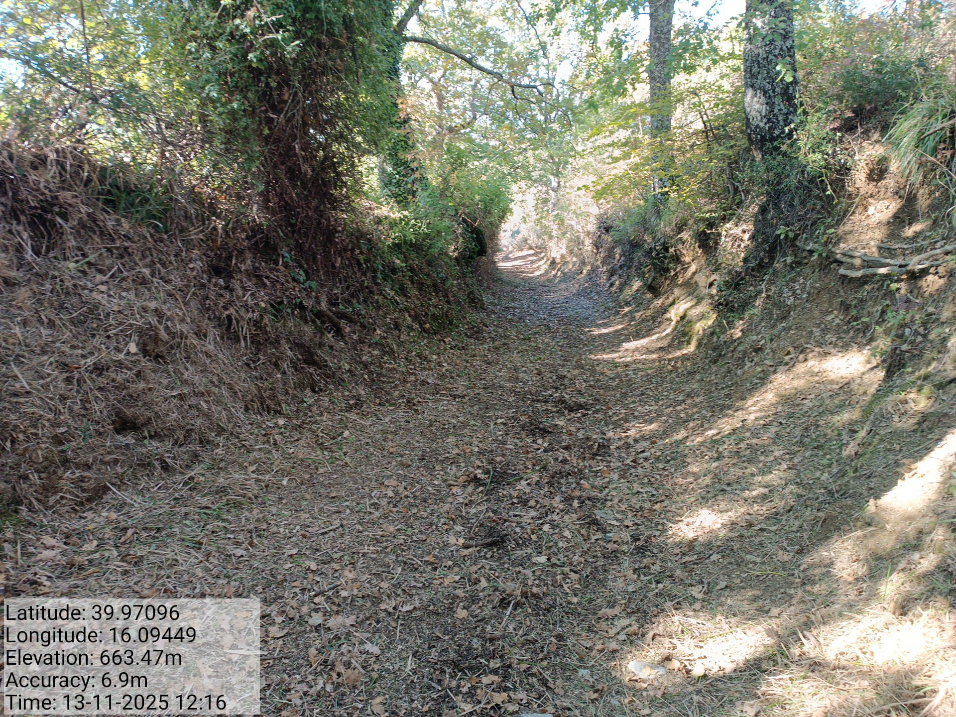 Galleria Fotografica Immagine