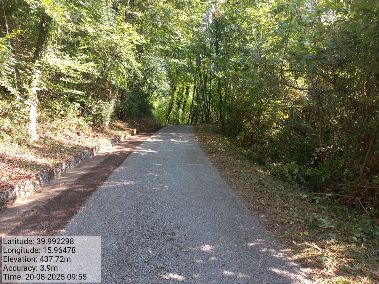 Galleria Fotografica Immagine