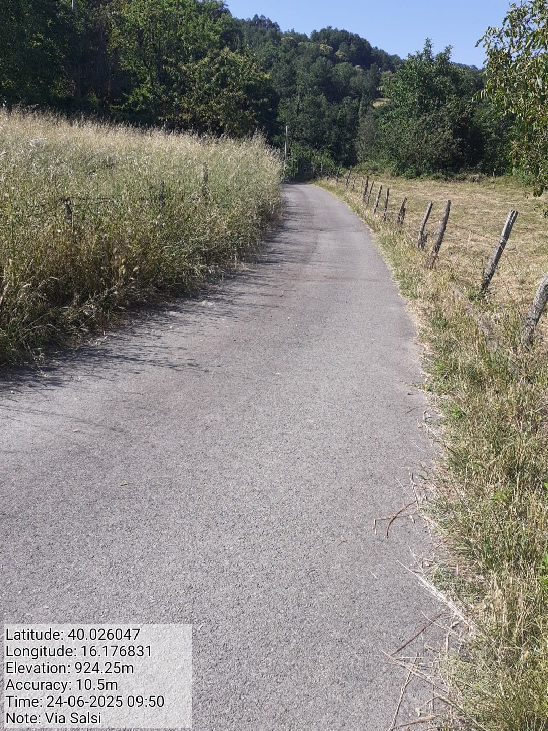 Galleria Fotografica Immagine