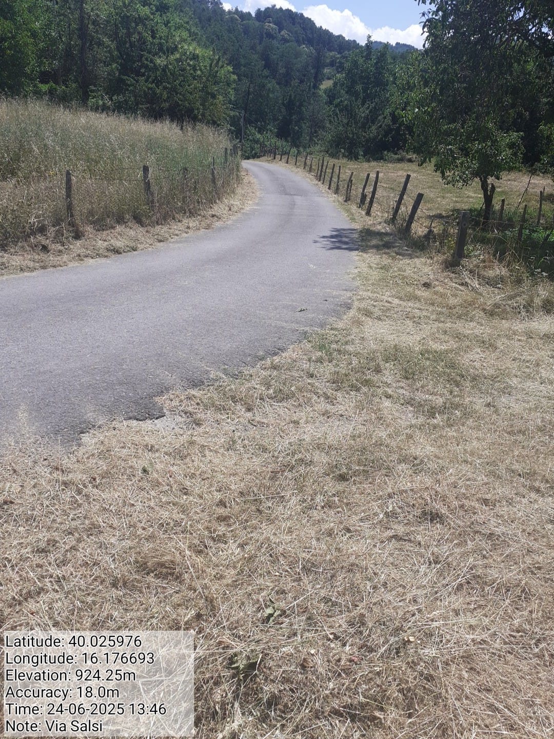 Galleria Fotografica Immagine