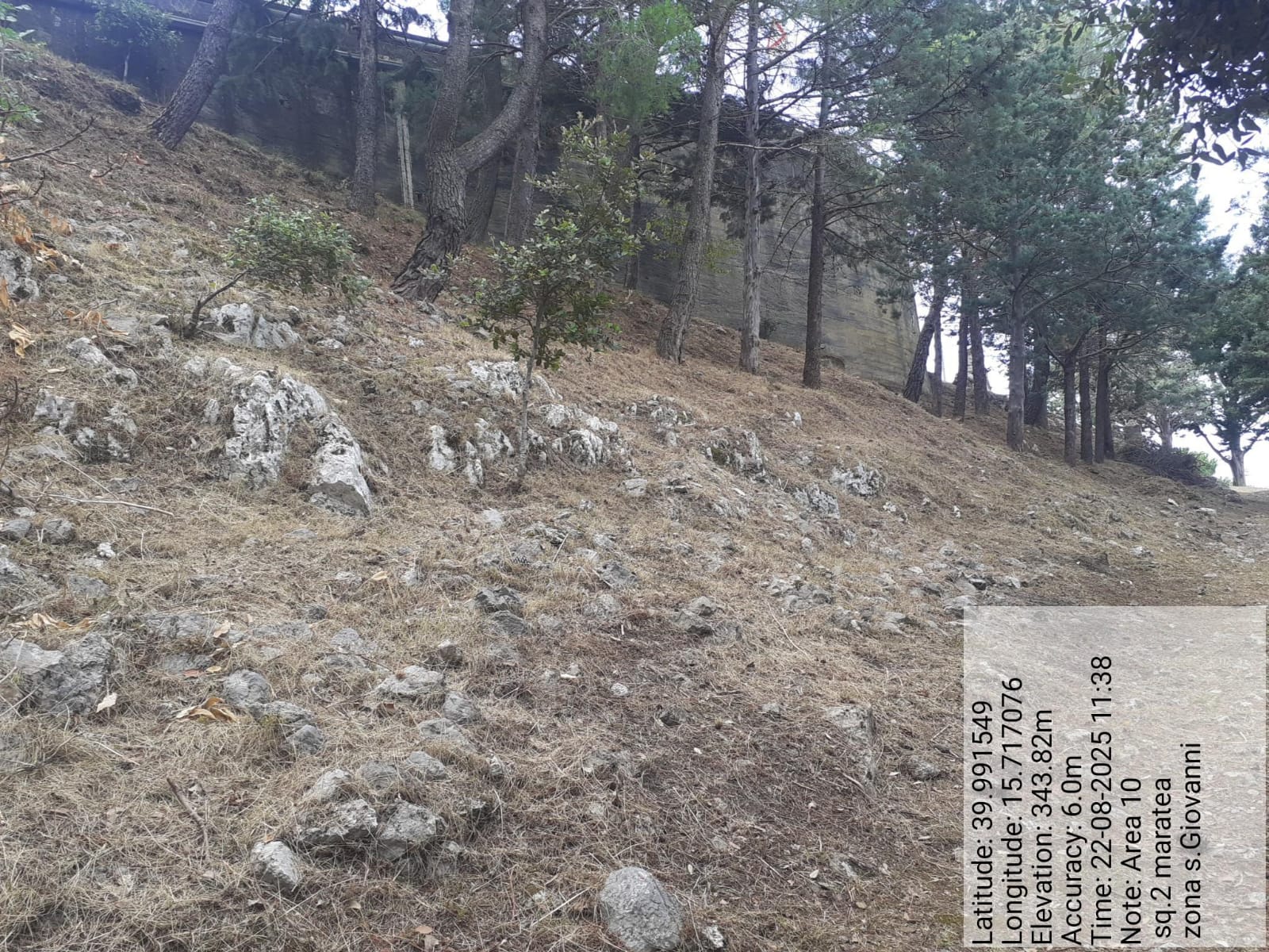 Galleria Fotografica Immagine