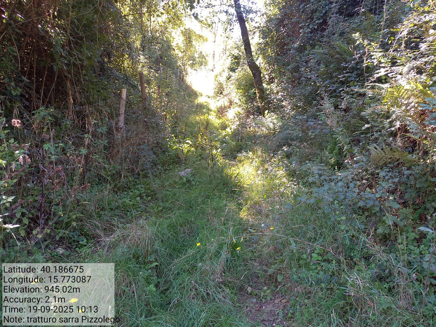 Galleria Fotografica Immagine