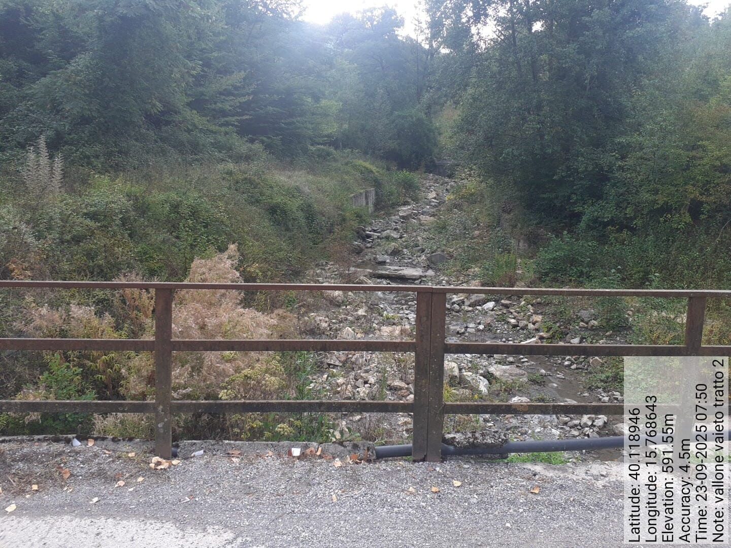 Galleria Fotografica Immagine