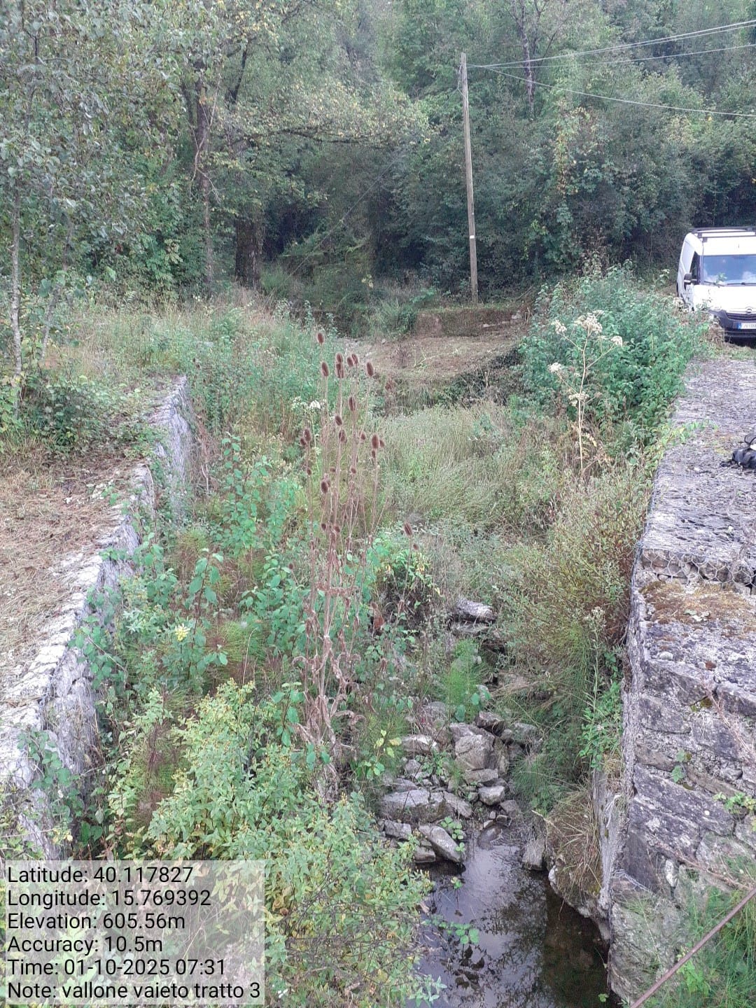 Galleria Fotografica Immagine