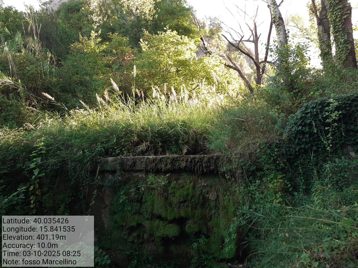 Galleria Fotografica Immagine