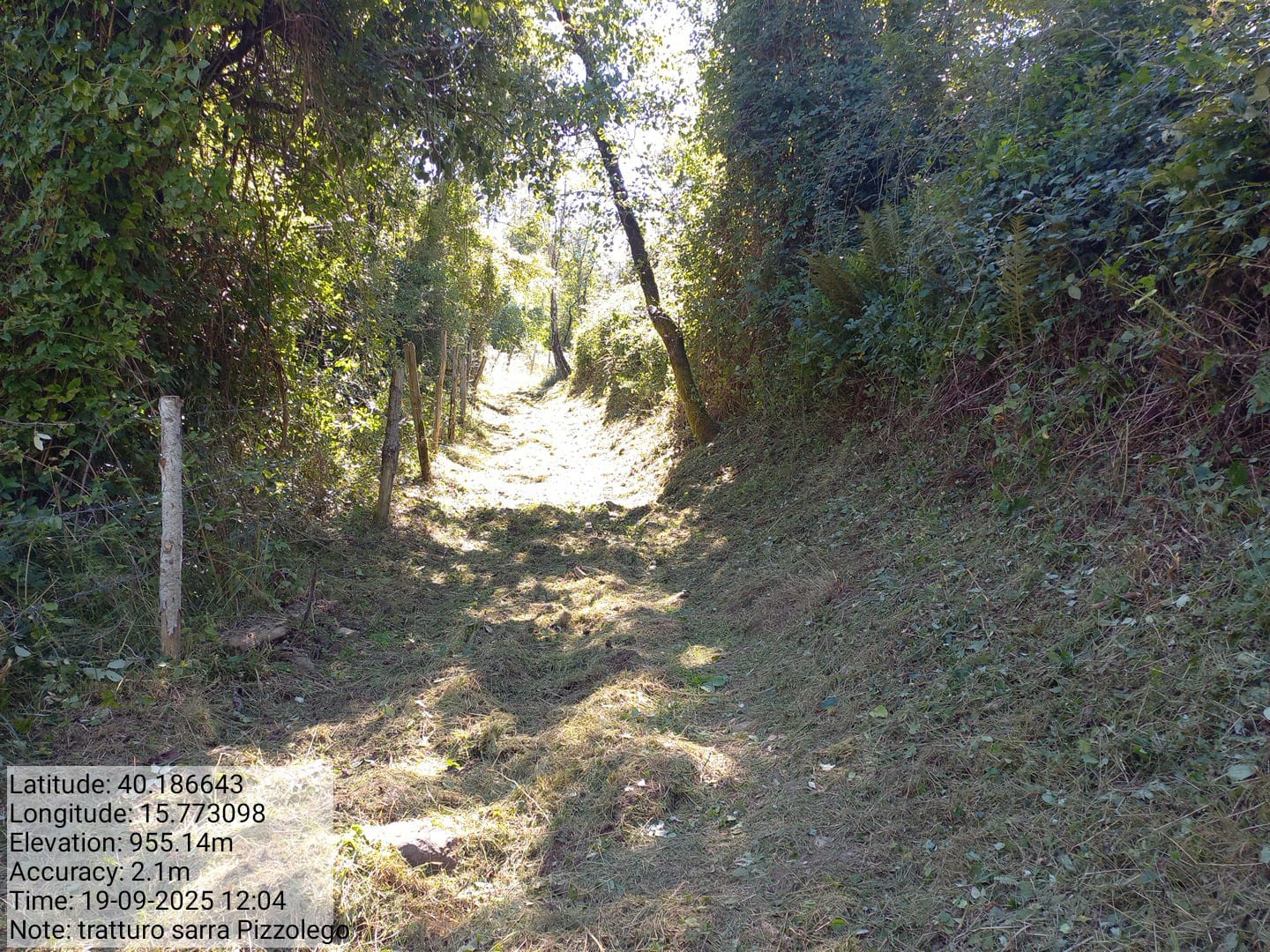 Galleria Fotografica Immagine