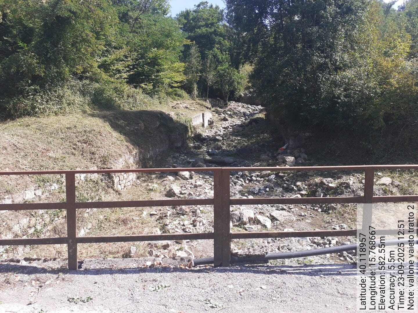 Galleria Fotografica Immagine